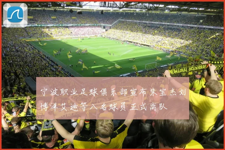 宁波职业足球俱乐部宣布朱宝杰刘博洋艾迪等八名球员正式离队